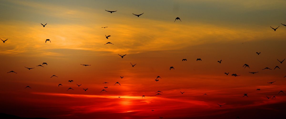 sunset-100367_1920